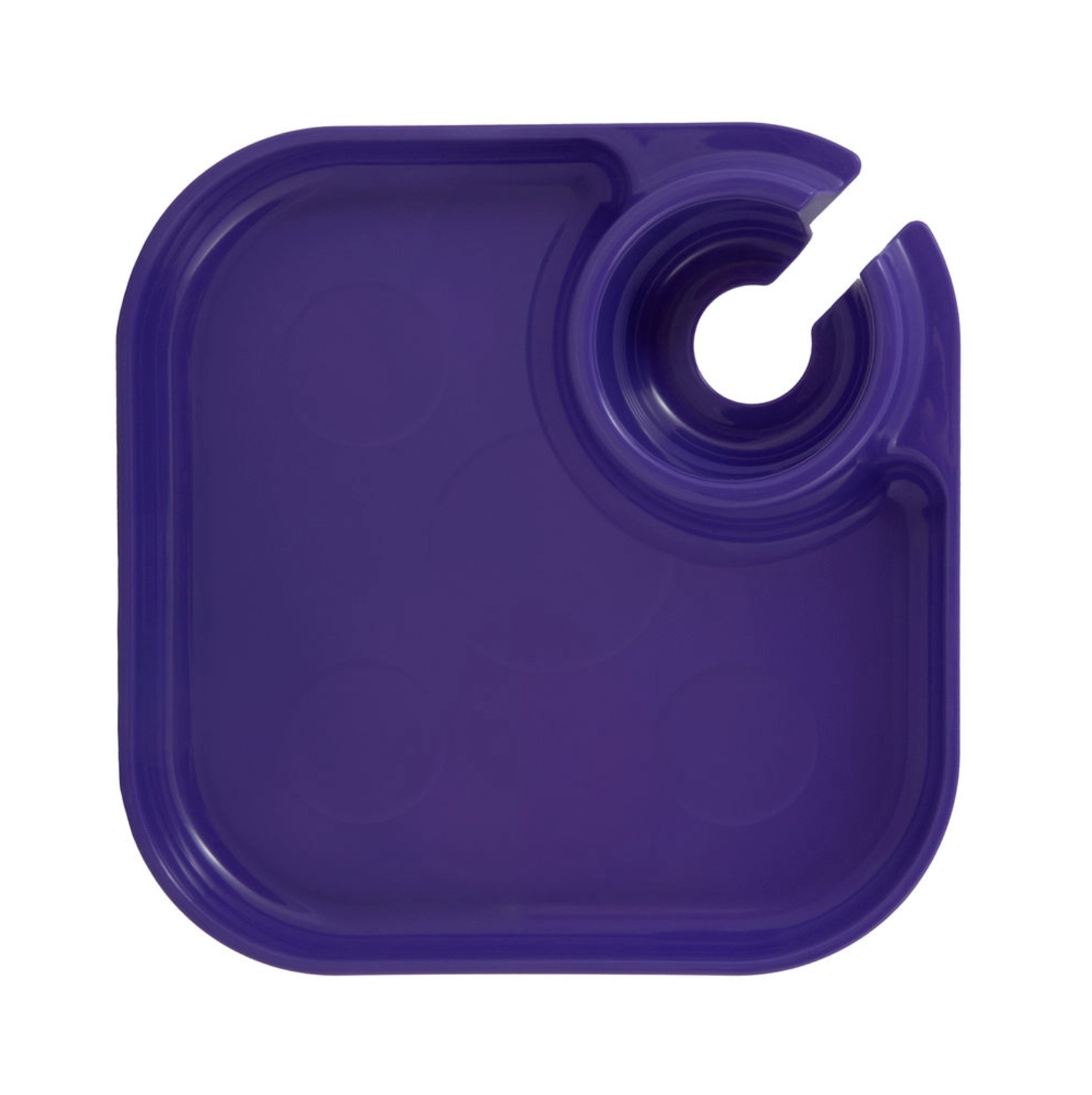 Fancy Panz Reuseable Party Plates