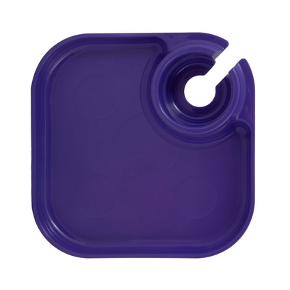 Fancy Panz Reuseable Party Plates