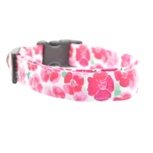 Floral patterned dog collar on a white background