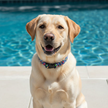 Dog collar with colorful popsicle pattern on a yellow lab sitting beside a swimming pool