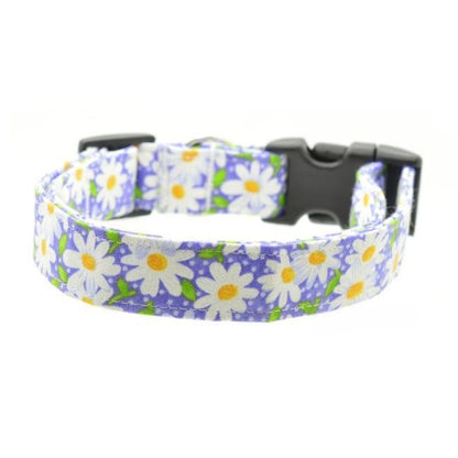 purple daisy dog collar with a black buckle on a white background