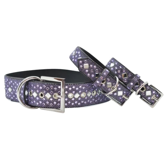 Purple dog collar with silver studs and buckles on a white background