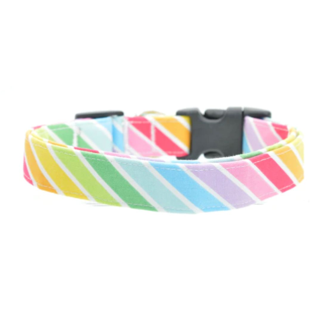 colorful dog collar with black buckle on a white background