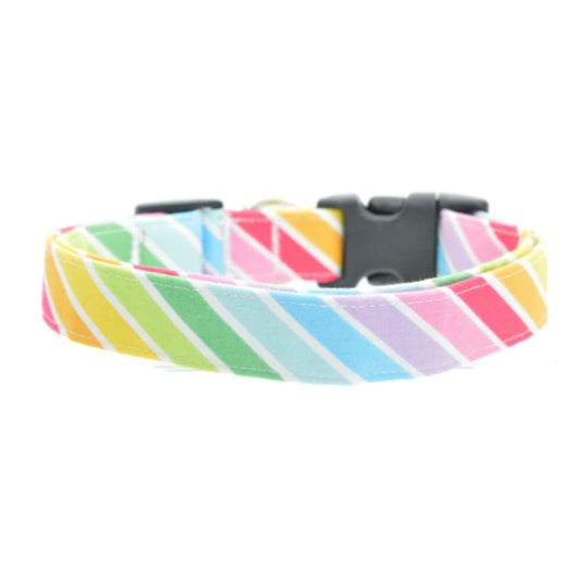 colorful dog collar with black buckle on a white background