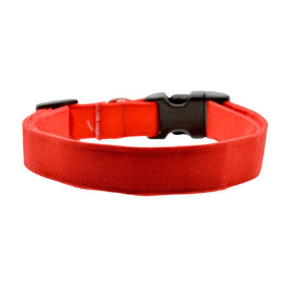 Red dog collar with black buckle on a white background