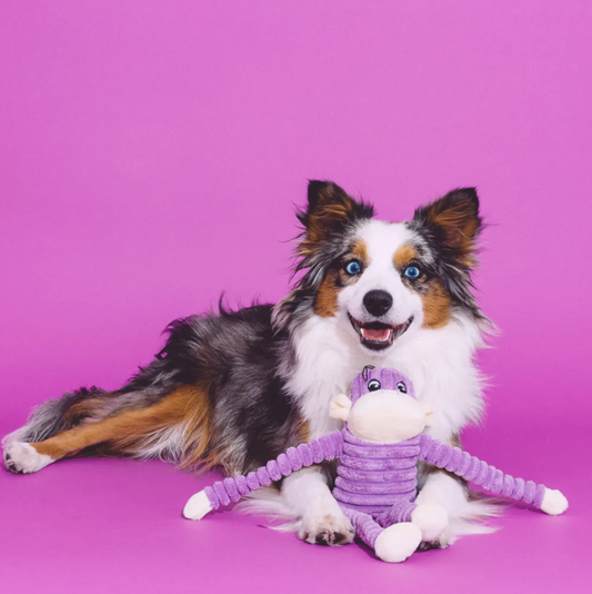 Spencer the Crinkle Monkey Small Purple Dog Toy