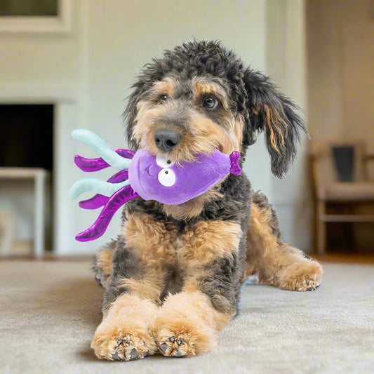 Slappies Squiggly Squid Dog Toy