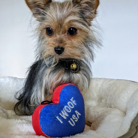 Paws & Stripes Dog Toy