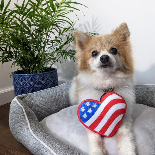 Paws & Stripes Dog Toy