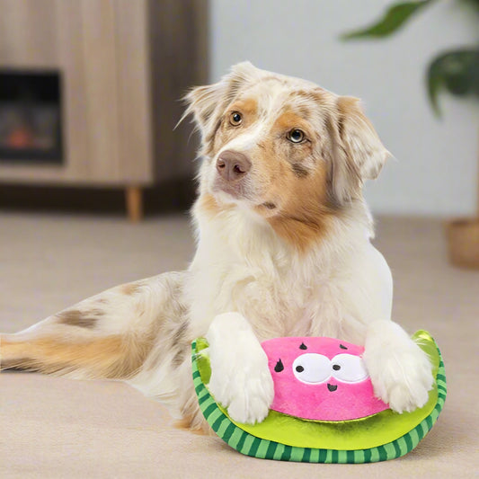 Walter Melon Dog Toy