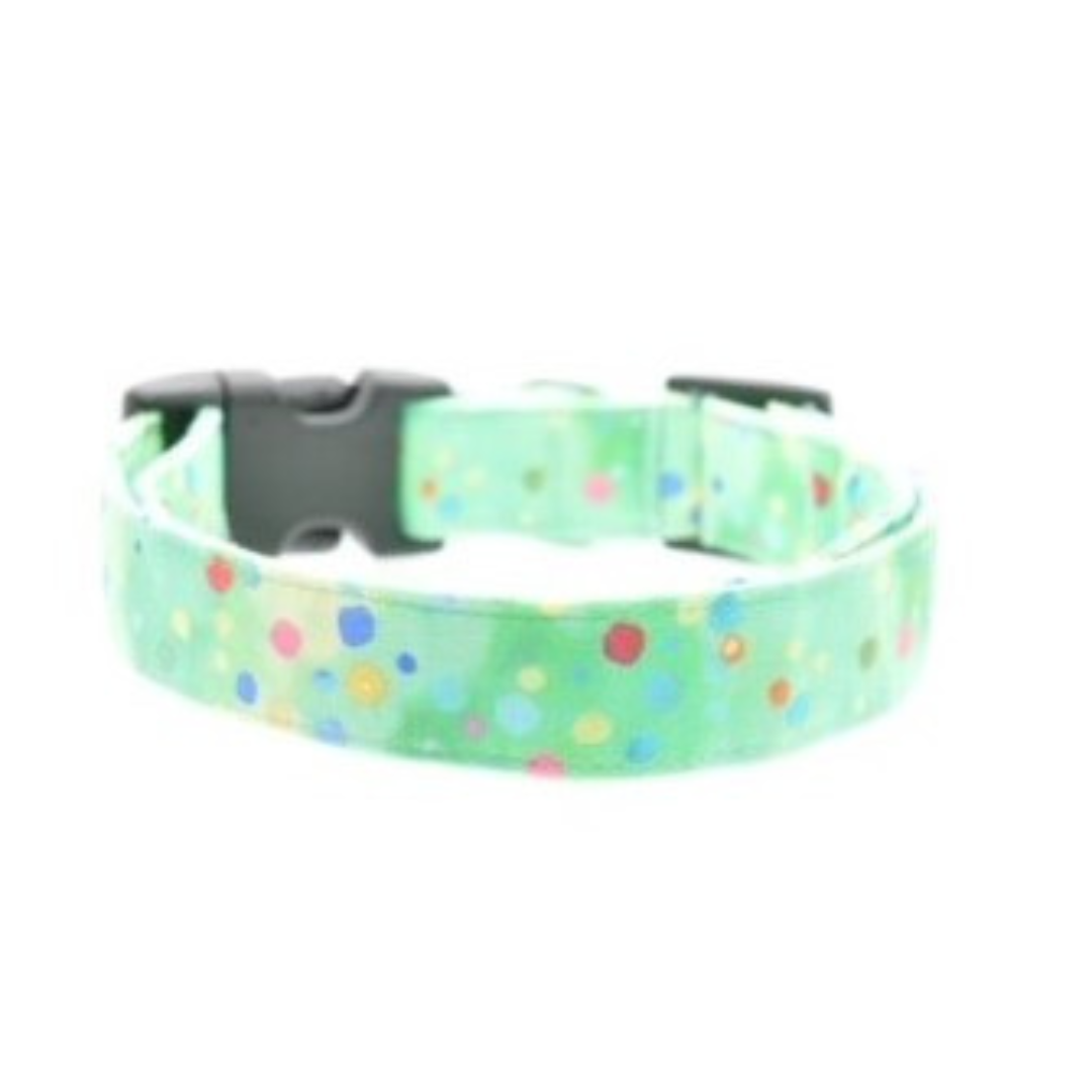 Green dog collar with colorful polka dots on a white background