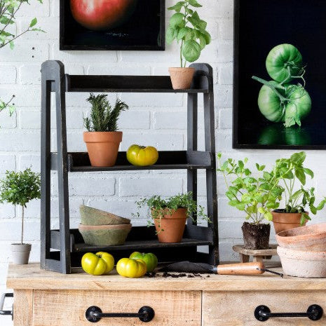 Park Hill Wooden Herb Rack