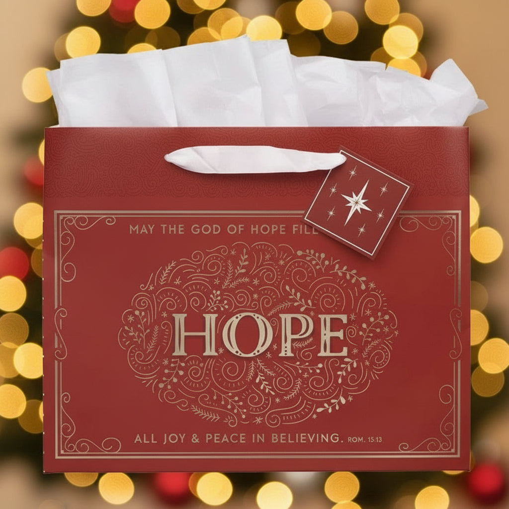Red gift bag with 'HOPE' text and white tissue paper on a white background