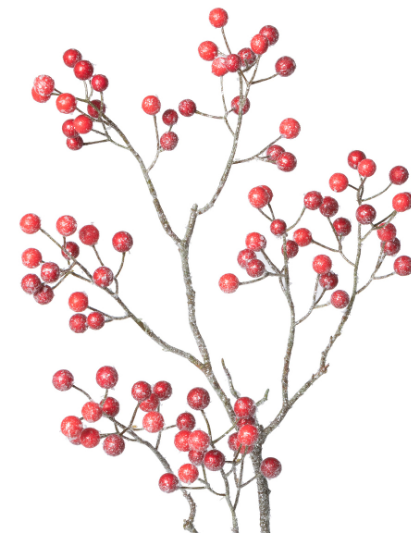Frosted Red Berry Branch
