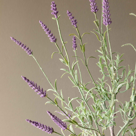 Lavender Plant Pick