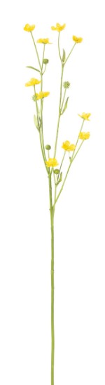 Prairie Flower Yellow