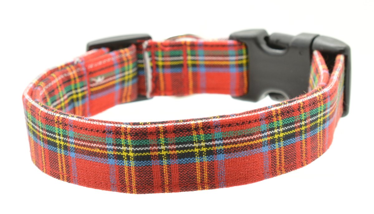 Tartan collar 2024