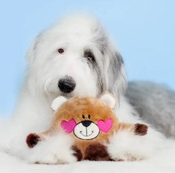 Valentine's Brainey Bear In Love Dog Toy